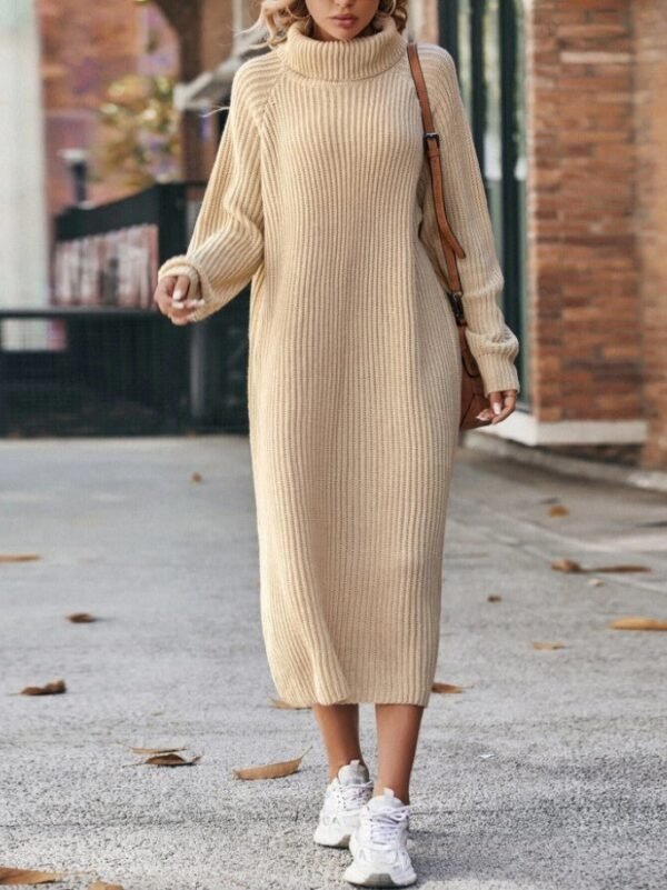 Rume Turtleneck Long Knitted Sweater Dress